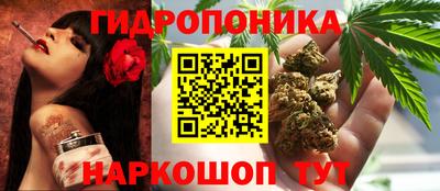 стаф Краснокаменск