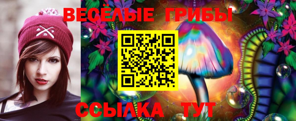 Ковров  Галлюциногенные грибы Magic Shrooms  как найти наркотики  Псилоцибиновые грибы мухоморы  Вход с VPN 